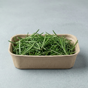 ROSEMARY