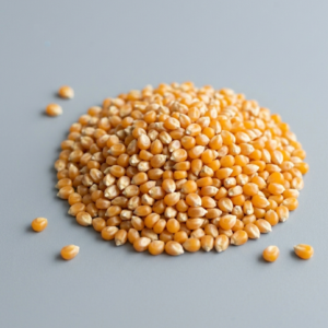 POP CORN
