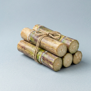 SUGARCANE
