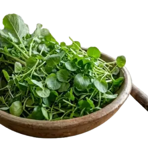 WATERCRESS