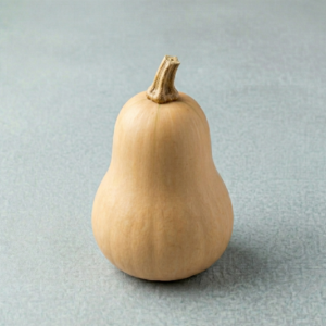 SQUASH