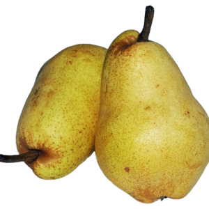 PEARS – LOCAL