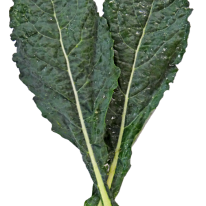 SUKUMA WIKI