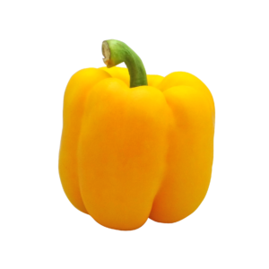 PEPPER – YELLOW