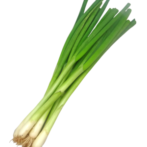 SPRING ONIONS – ENGLISH