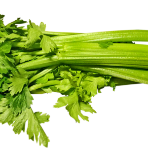 CELERY