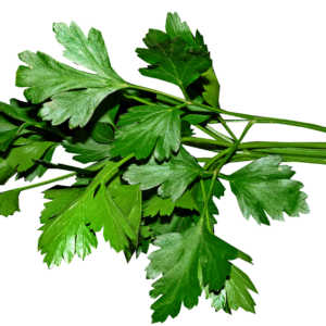 PARSLEY