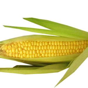 GREEN MAIZE (SHELLED)