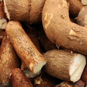FRESH CASSAVA TUBERS