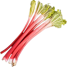 RHURBARBS