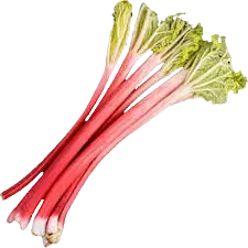 RHURBARBS