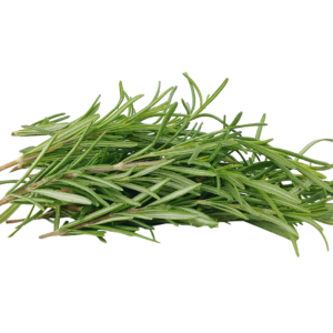 ROSEMARY