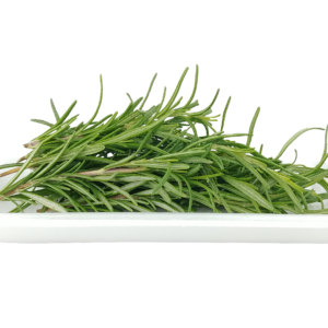 ROSEMARY