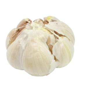 GARLIC – ENGLISH