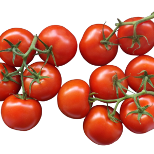 TOMATOES