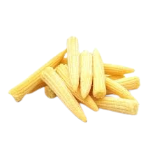 BABY CORN