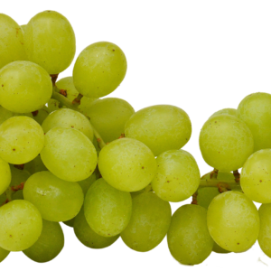 GRAPES – GREEN