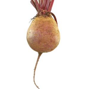 BEETROOTS
