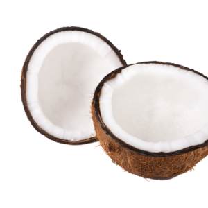 COCONUT FRUIT