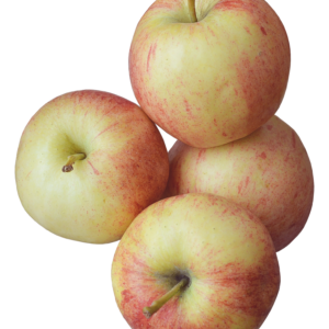 APPLES – PINK