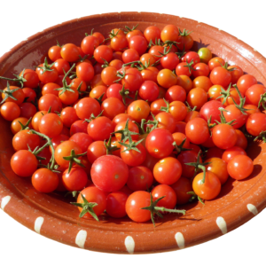 CHERRY TOMATOES