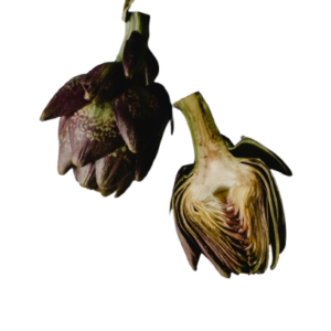 ARTICHOKES