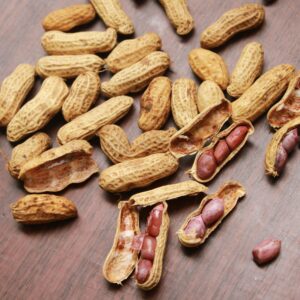 GROUND NUTS – RED SMALL