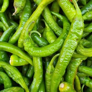 CHILLI – GREEN