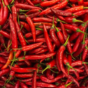 CHILLI – RED