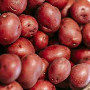 POTATOES – IRISH RED