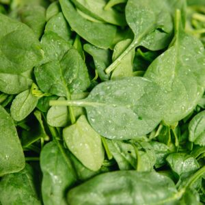 SPINACH – BABY