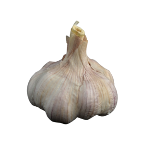 GARLIC LOCAL