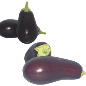 EGGPLANT