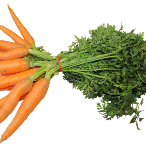 CARROTS
