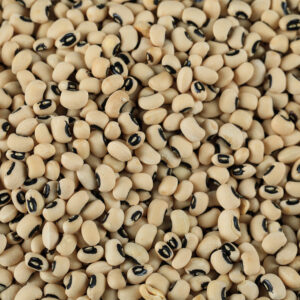 White dry beans spread over the table